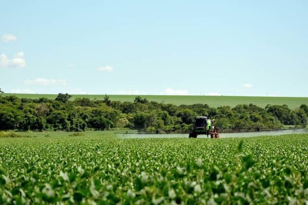 Nova Lei sobre agrotóxicos