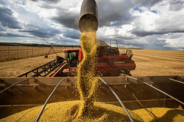 Mato Grosso deve atingir a marca histórica de 92 milhões de toneladas na produção total de grãos e fibras em 2025