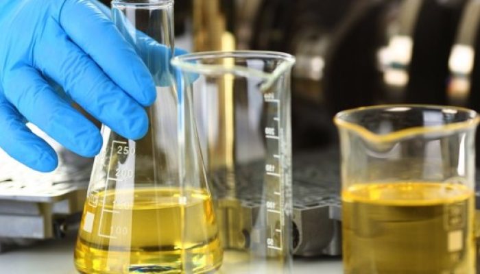 Biocombustíveis voltam à cena com aumento no preço do petróleo por conta da guerra