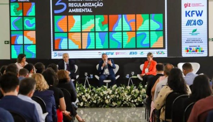 Redação