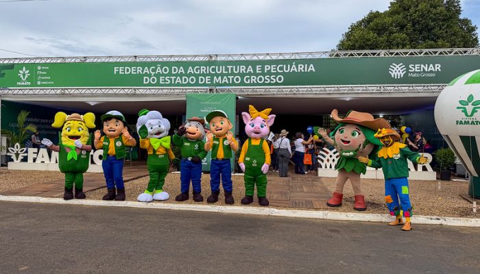 Redação