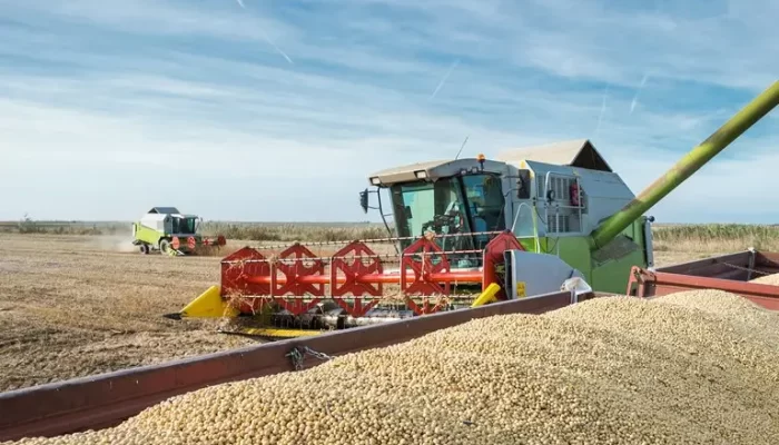 Mato Grosso registra novo recorde para a safra de soja, com produção estimada em 45,6 milhões ...