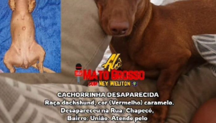 AlÃ´ Mato Grosso