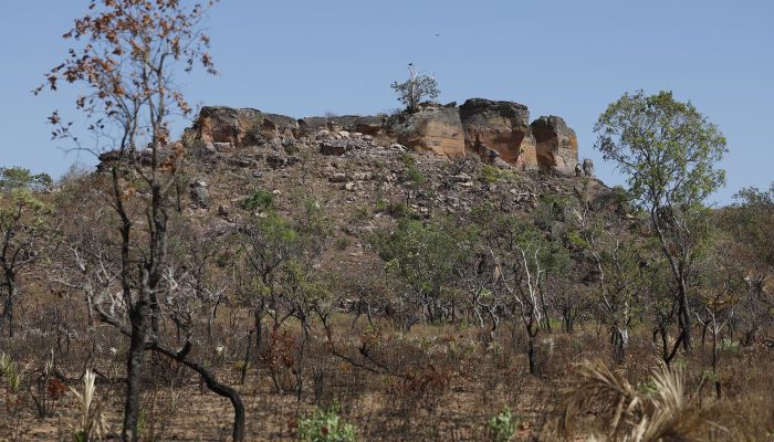 © Fernando Frazão/Agência Brasil