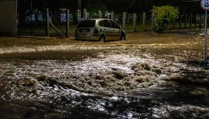 © Rafa Neddermeyer/Agência Brasil