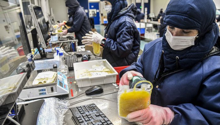 © Hemobrás/Divulgação