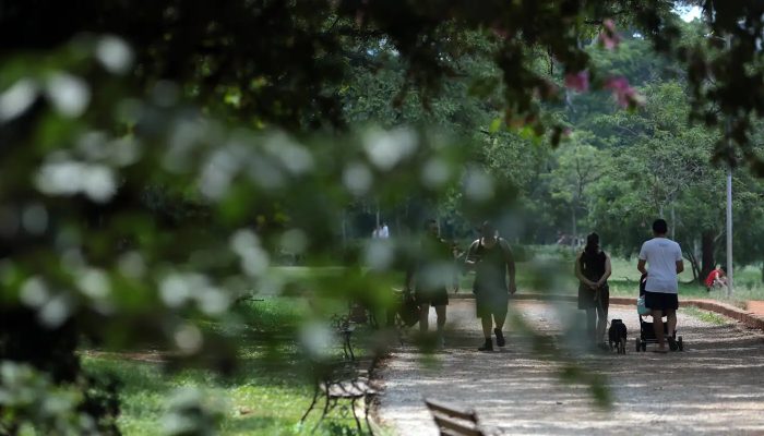 © Paulo Pinto/Agência Brasil