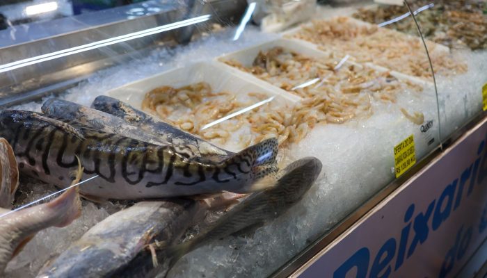 © Fabio Rodrigues-Pozzebom/ Agência Brasil