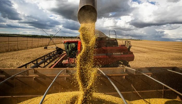 Mato Grosso deve atingir a marca histórica de 92 milhões de toneladas na produção total de grãos e fibras em 2025